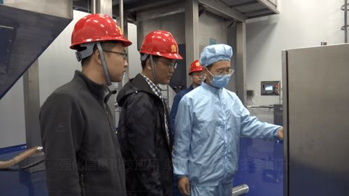 濱海區(qū)強(qiáng)化信息科技應(yīng)用，助力企業(yè)安全管理與技術(shù)開(kāi)發(fā)